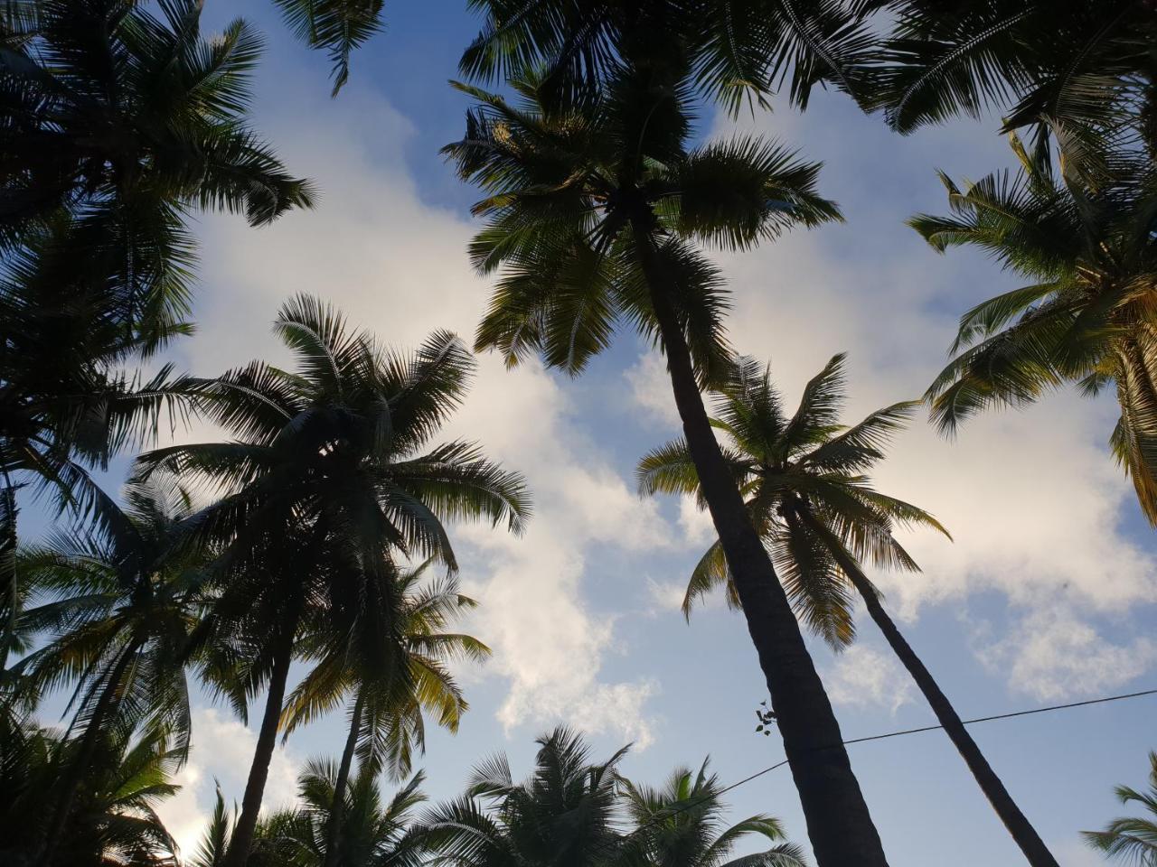 Palm Forest Palolem Exterior photo