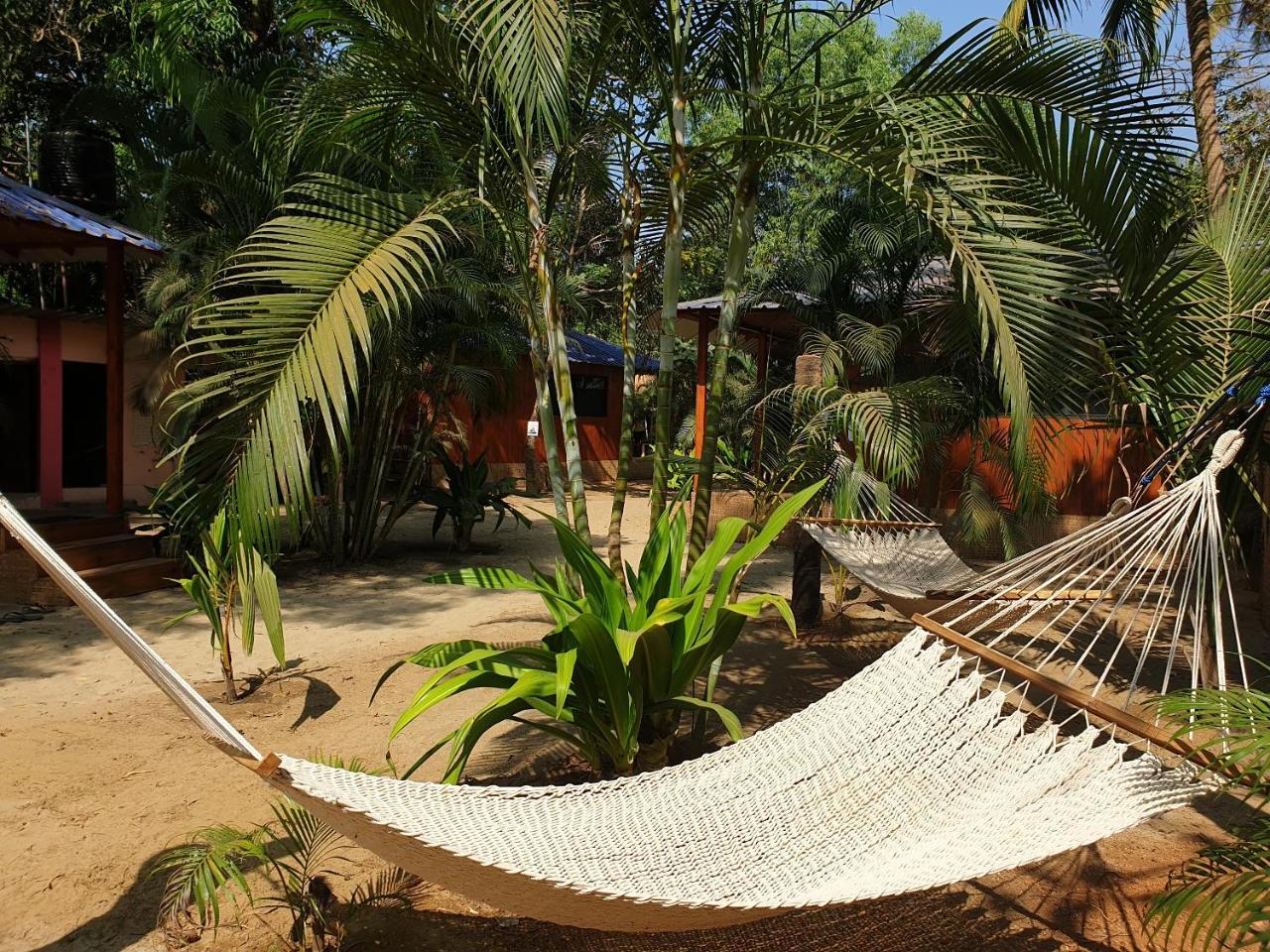 Palm Forest Palolem Exterior photo